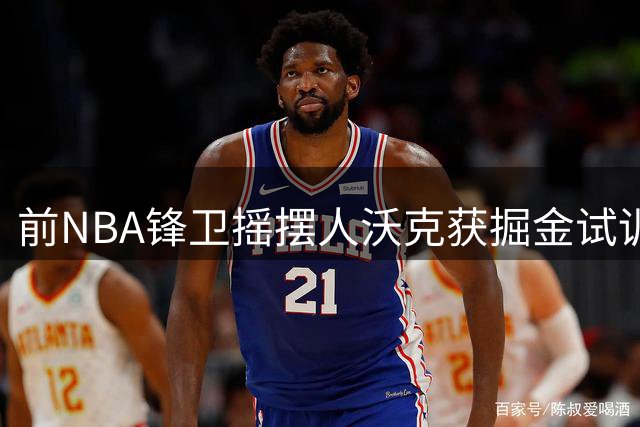 前NBA锋卫摇摆人沃克获掘金试训机会 欧洲赛场表现或成留队关键