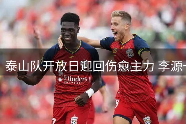 泰山队开放日迎回伤愈主力 李源一恢复合练状态佳