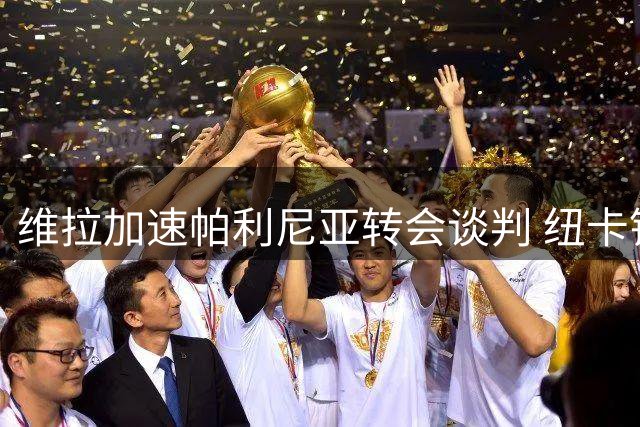 维拉加速帕利尼亚转会谈判 纽卡锁定霍伊别尔为头号目标